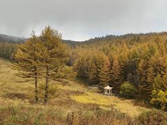 -驼梁风景区
