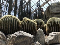 -南山植物园