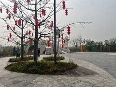 -江门古劳水乡旅游区