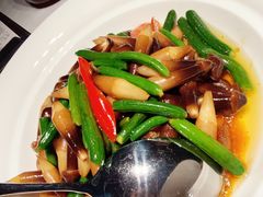 -凤凰湘语(浦东旗舰店)