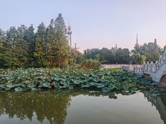 -南通濠河风景名胜区