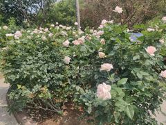 -人民公园(罗湖区)