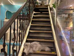 -猫小院猫主题咖啡厅(北锣店)