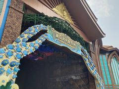 -西双版纳原始森林公园