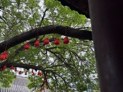 -张学良旧居陈列馆