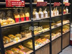 -向阳坊(树兜店)