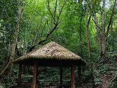 -七仙岭温泉国家森林公园