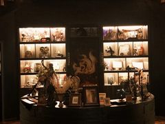 -雪灵魔法世界SHELLY’S TAROT(大良桂畔里店)
