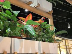 -渝信川菜 · 川味家常菜(财富购物中心店)