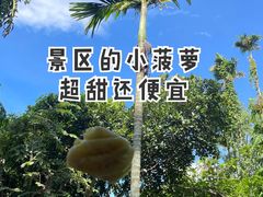 -海南槟榔谷黎苗文化旅游区