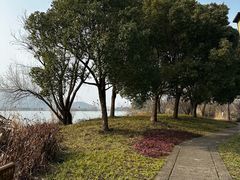 -长兴太湖图影湿地文化园
