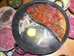 -阳阳老火锅(小南门店)