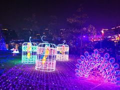 -飞凤山奥体公园