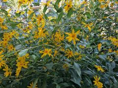 -火锅岛潮牌自助餐厅(天津天佑城店)