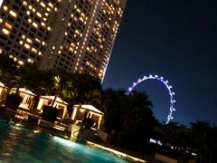 -新加坡文华东方酒店