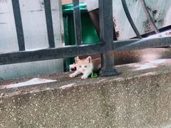 -星宿秘码(鼓浪屿老店)