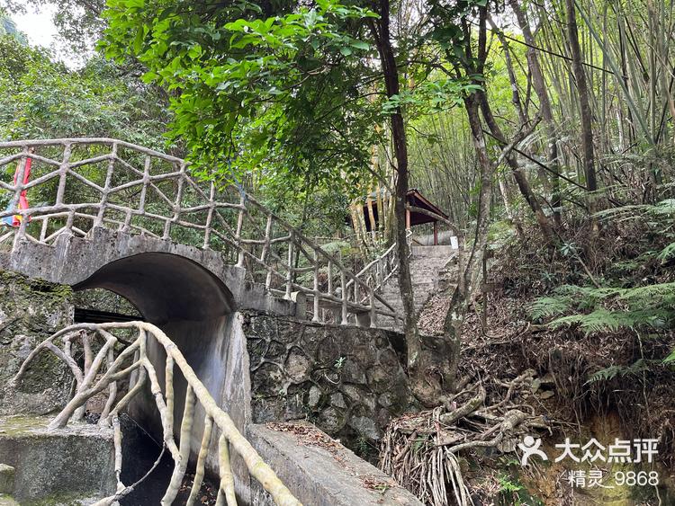 景区位于惠州市博罗县象头山国家级自然保护-大众点评