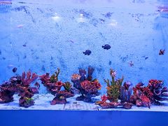 -厦门海底世界