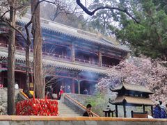 -潭柘寺景区