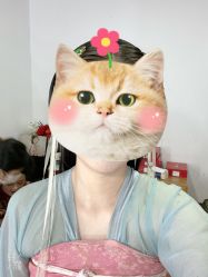 -盘子女人坊古装写真摄影(深圳店)