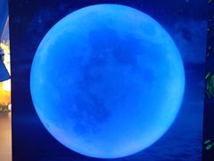 -天津梵高星空艺术馆(天河城旗舰店)