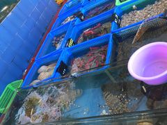 -七鲜渔港美食餐厅(巽寮湾海景店)
