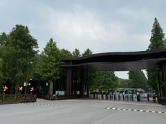 -黄海国家森林公园