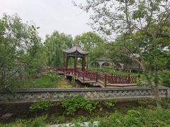 -焦岗湖影视城