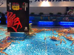 -驻海渔市(置信店)