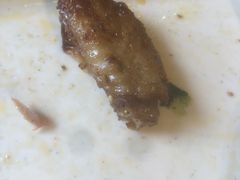 -管氏翅吧(国展店)