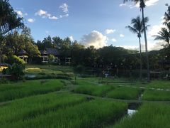 -四季酒店下午茶