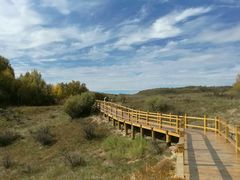 -塞罕坝国家级自然保护区