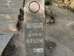 -梧桐山风景名胜区