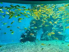 -泉城欧乐堡海洋极地世界