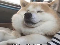 -非常粥道(天宝东街店)