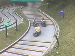 -圣淘沙天际线斜坡滑车