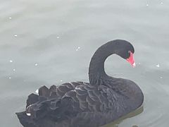 -中国农业博物馆