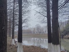 -艾溪湖湿地公园