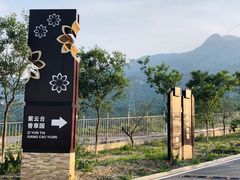 -紫云台香草园
