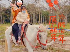 -广东花都香草世界旅游度假区