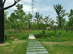 -长兴岛郊野公园农场食堂