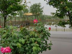 -同銮特种养殖场·龙虾垂钓