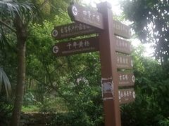 -许家山