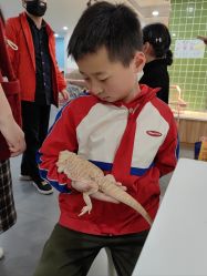 -Moni星球萌宠·小马宝莉·灵蛇·高端高阶全萌宠互动体验俱乐部(红豆国际广场店)
