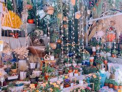 -循礼门鲜花花市(武汉循礼门店)