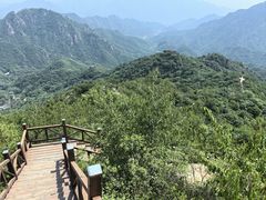 -大岭沟猕猴桃谷风景区