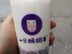 -一只酸奶牛(八一路店)