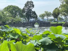 -无锡蠡湖国家湿地公园-蠡园