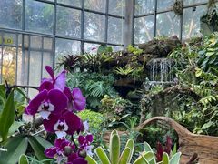 -东莞植物园