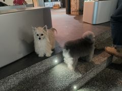 -安福路